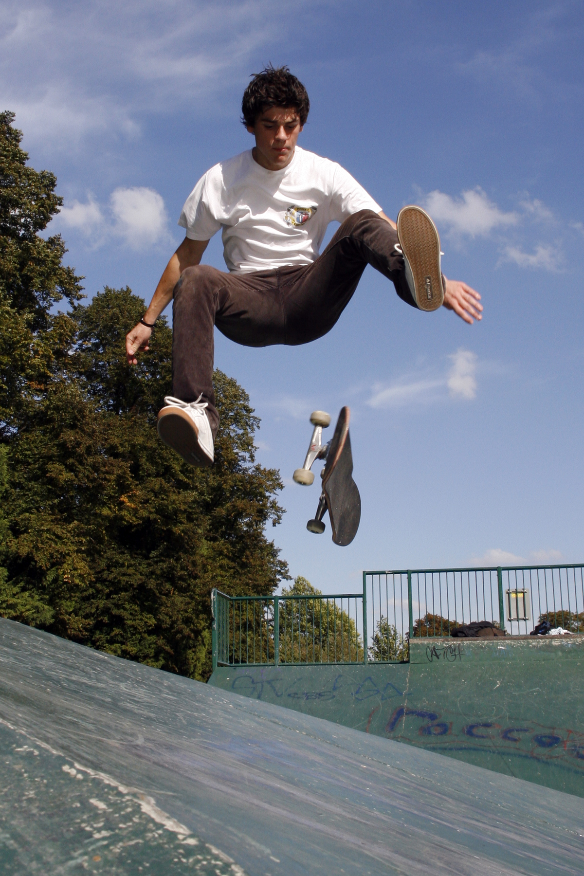 Skateboarding_1_(dtab).jpg
